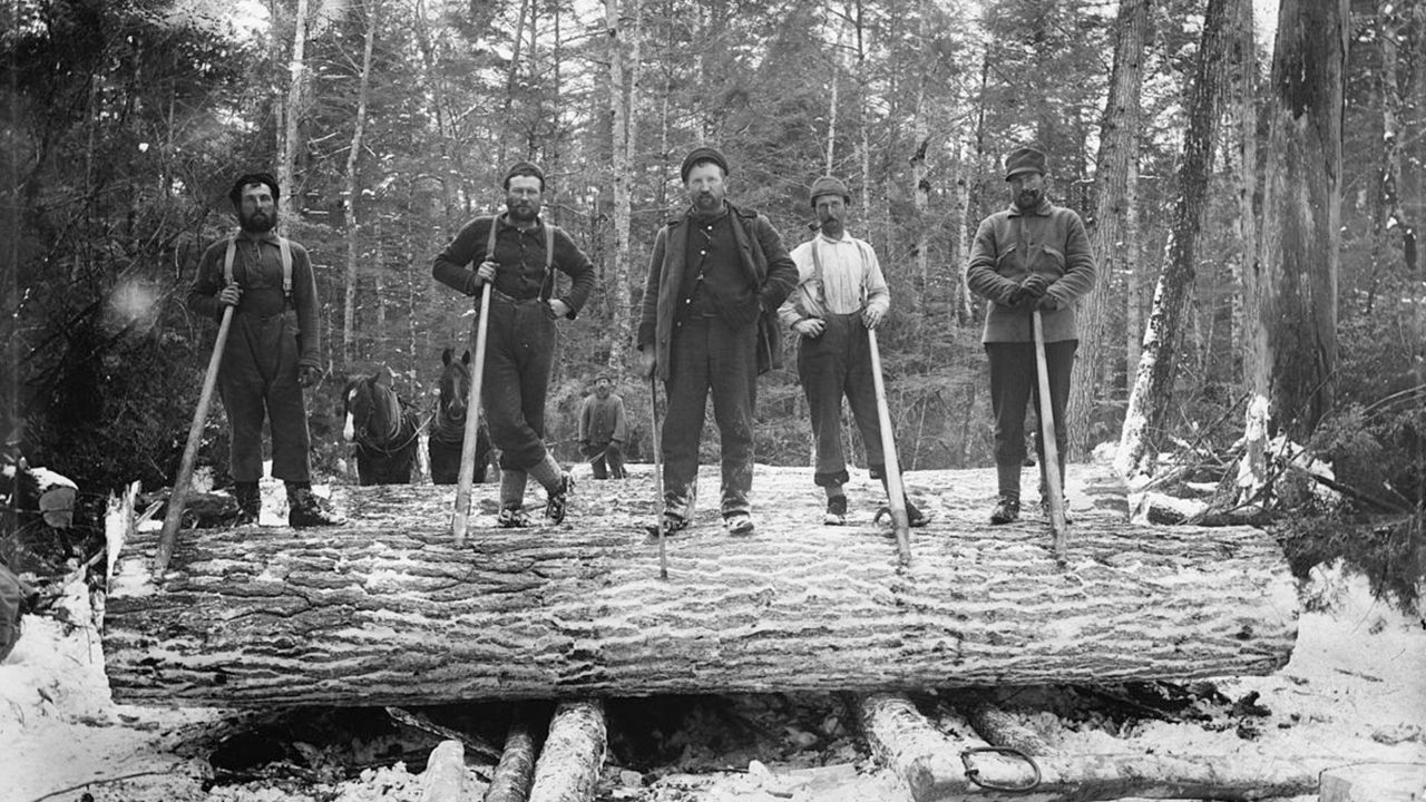 The young lumberjacks who powered the British Empire